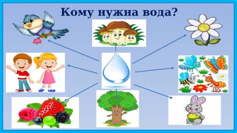 Почему в дом пришла вода: происхождение выражения