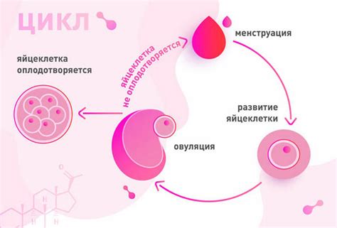 Почему овуляция вызывает рыбный запах