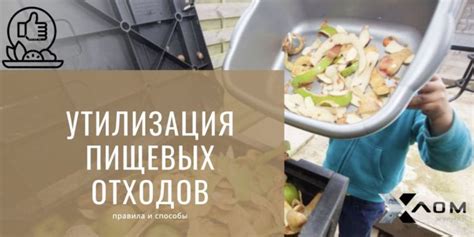 Правила безопасного использования пищевых отходов