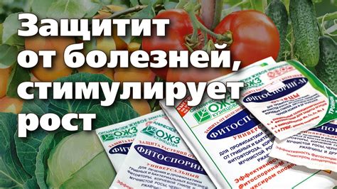 Правила использования фитоспорина