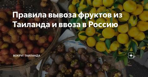 Правила упаковки фруктов для вывоза