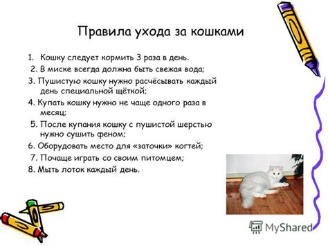 Правила ухода за голосовым аппаратом кошки