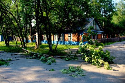 Предосторожности и следствия отключения