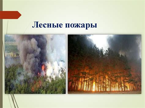 Предотвращение загрязнения дома