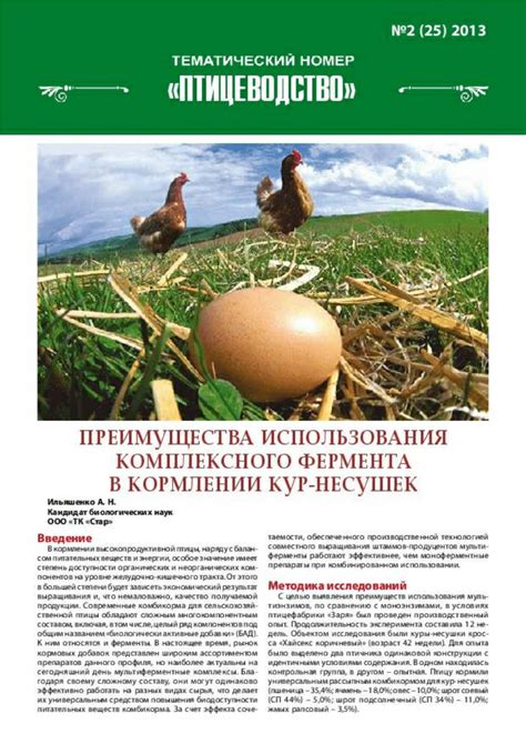 Преимущества использования топинамбура в кормлении кур