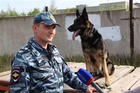 Преимущества и выгоды профессии кинолога