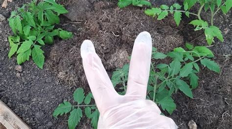 Преимущества и недостатки данного способа подключения
