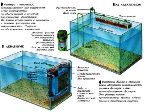 Преимущества и недостатки использования зеленки в аквариуме