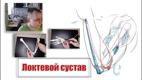 Преимущества коленно-локтевого положения