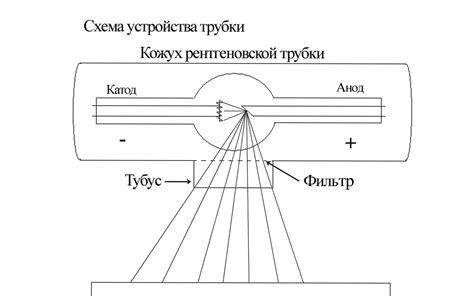 Принципы поглощения рентгеновских лучей