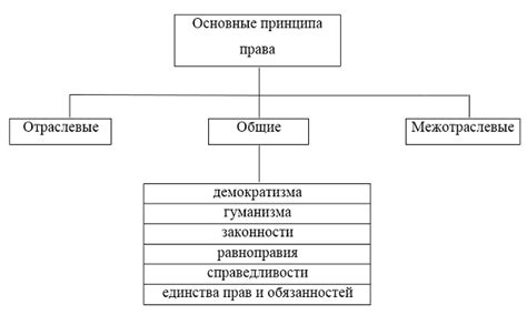 Принцип работы и его основные принципы