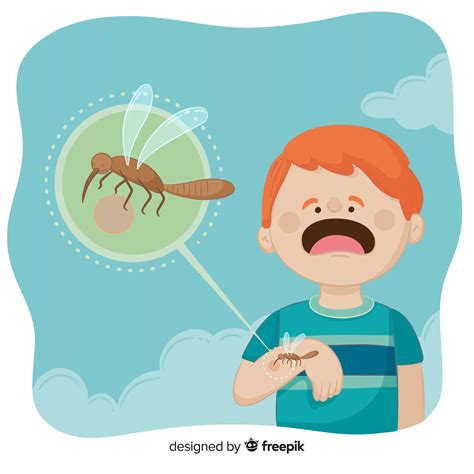 Природные методы борьбы с мухами в каркасном доме