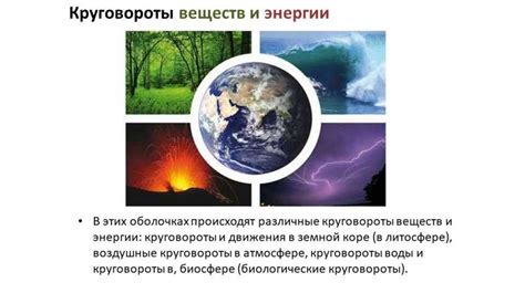 Природные причины кружения птиц