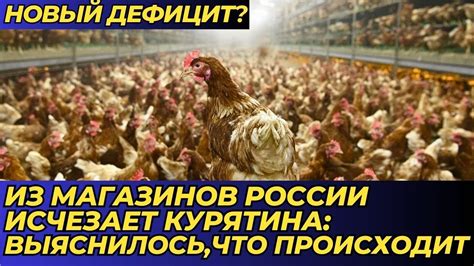 Причина исчезновения баранца
