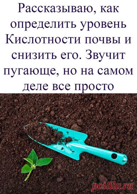 Причина 1: Низкий уровень кислотности