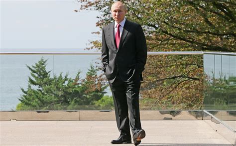 Причина 2: Отсутствие животных в своем окружении