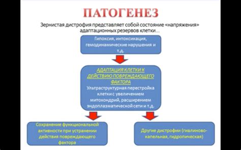 Причины и механизмы событий