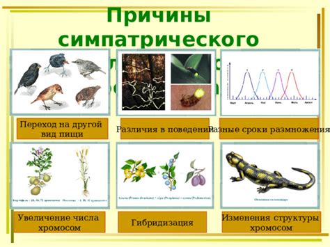 Причины множественного размножения