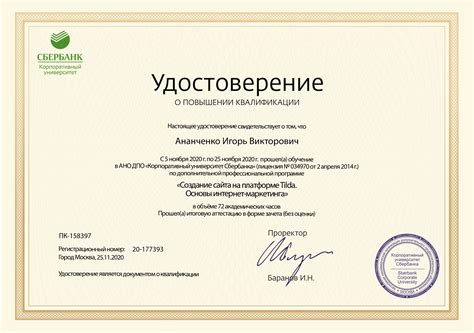 Причины неисправности анимации на платформе Tilda