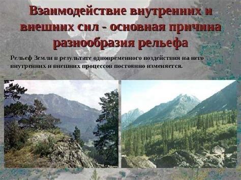 Причины разнообразия рельефа на земле