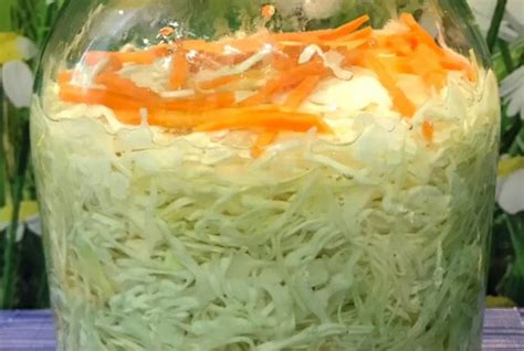 Причины сопливости капусты при мариновании