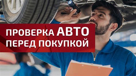 Проверка наличия вредителей перед вывозом