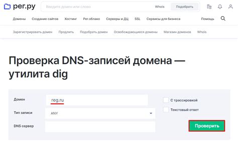 Проверка DNS записей