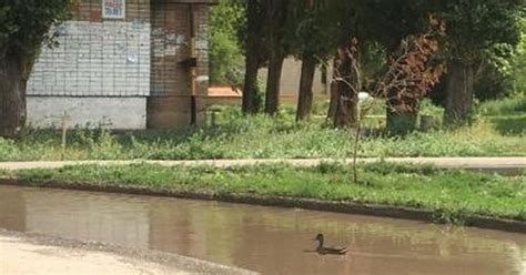 Программа по восстановлению искусственных водоемов