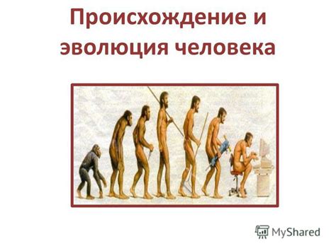 Происхождение и эволюция понятия