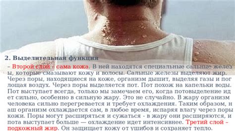 Проникновение запаха через поры кожи