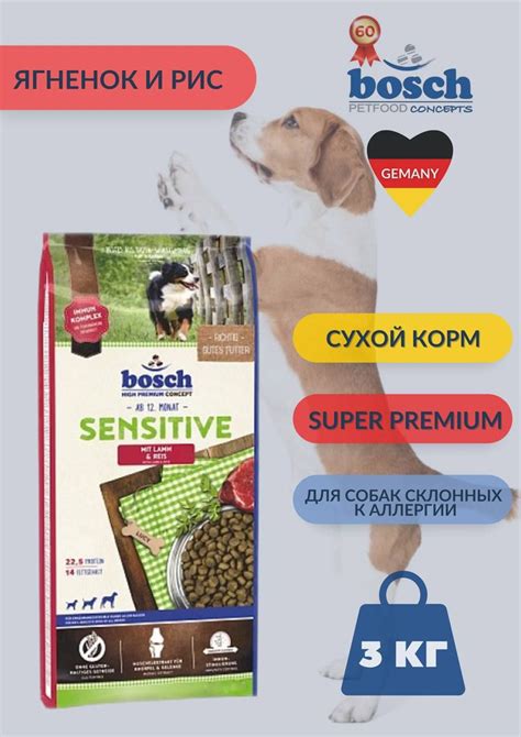 Простые решения для собак, склонных есть пыль