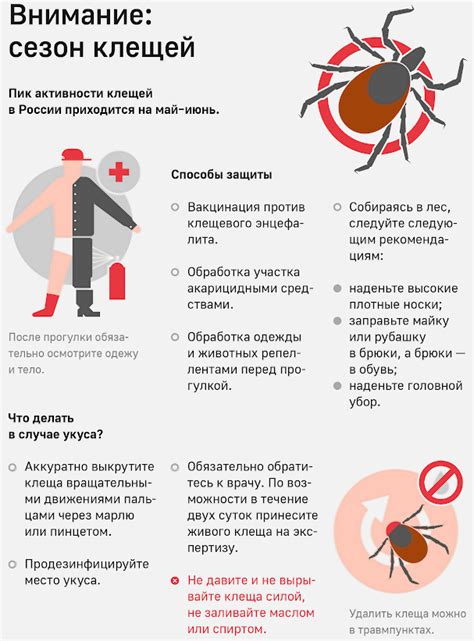 Профилактика энцефалита
