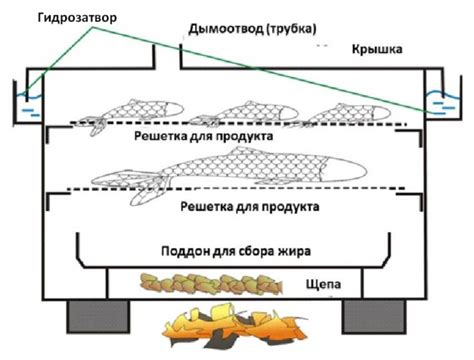 Процесс горячего копчения рыбы