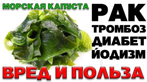 Процесс замораживания морской капусты