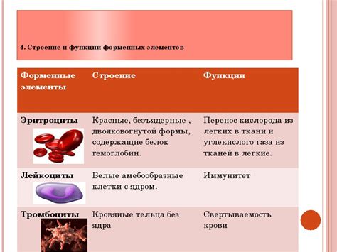Процесс разложения организма: