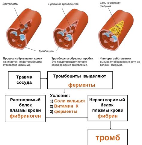 Процесс свертывания