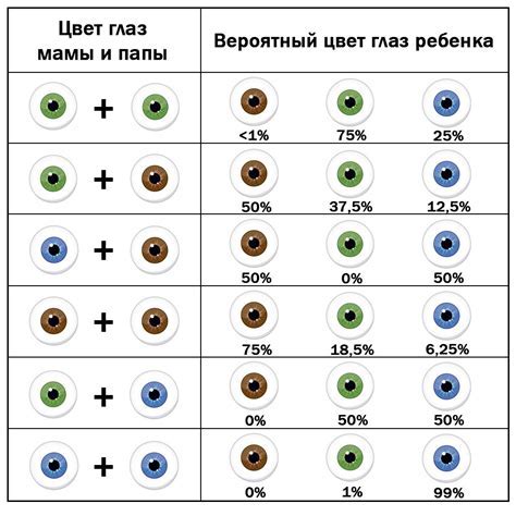 Процесс смены цвета глаз у щенков