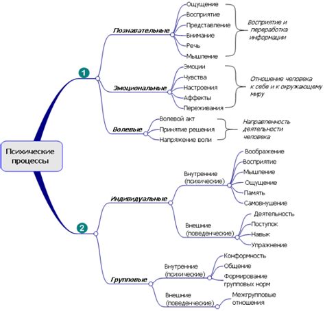 Психические способности в биологии человека