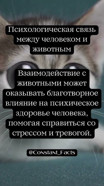 Психологическая связь с другим человеком
