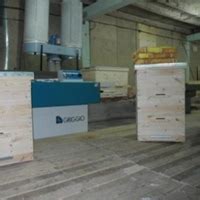 Пчеловодство в Московской области