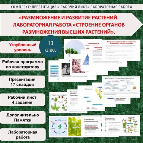 Работа растений водоочистителями