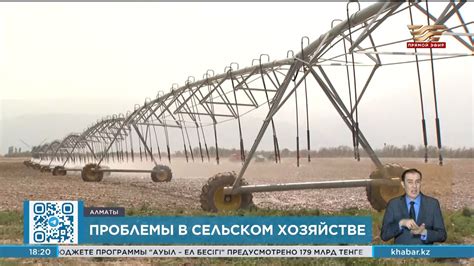 Развитие искусственного рыбоводства - ключевой фактор стабильности и безопасности продовольствия