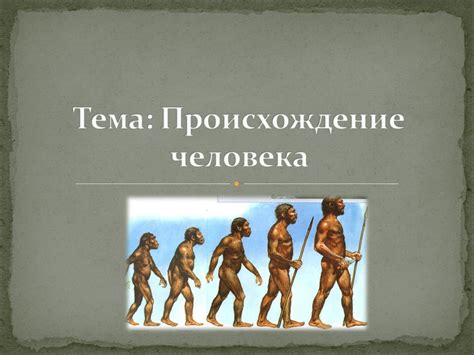 Раздел 1: История и происхождение