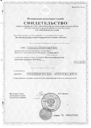 Раздел 6: Как получить ИНН и какие документы необходимы