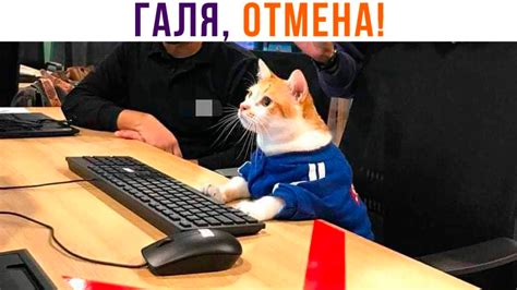 Различные вариации фразы "галя у нас отмена"
