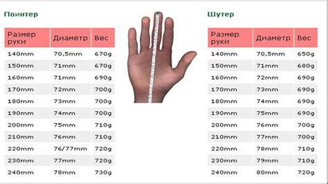 Размеры пениса и конституция мужчины