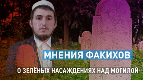Разные точки зрения ученых шафиитского мазхаба