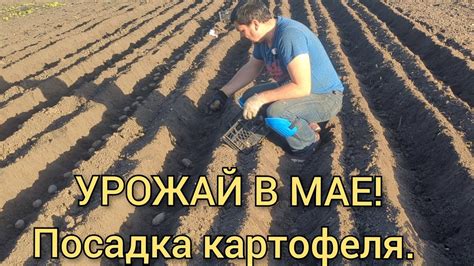 Ранняя посадка