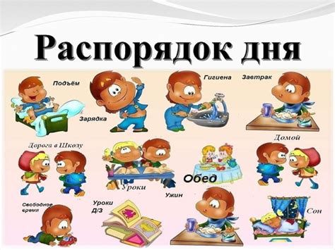 Распорядок дня и здоровье