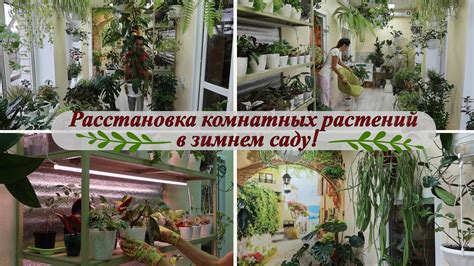 Расстановка растений в саду
